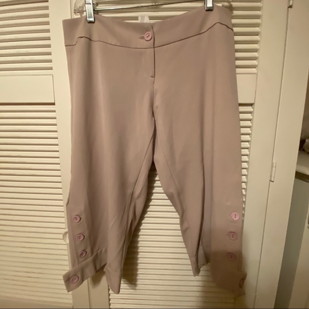 Body Central Button Leg Capri Pants